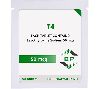 T4