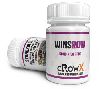 WINSROW  10                                Crownx Labs